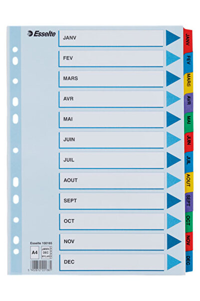 Esselte Cardboard Index Dividers Jan-Dec Mylar