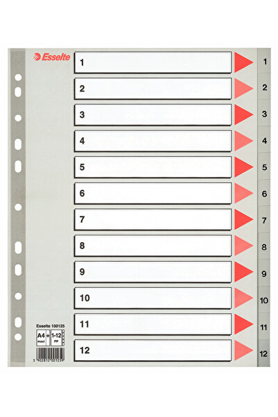 Esselte Plastic Index Dividers 1-12 Maxi
