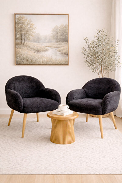 DEKOR MOBİLYACIM Jasmine 2 Berjer Set Ahşap Ayaklı Retro Minimal Berjer Makya...