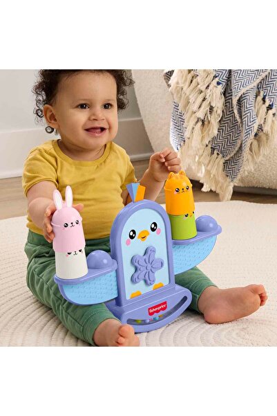 FISHER PRICE Denge Kuşu JLG00