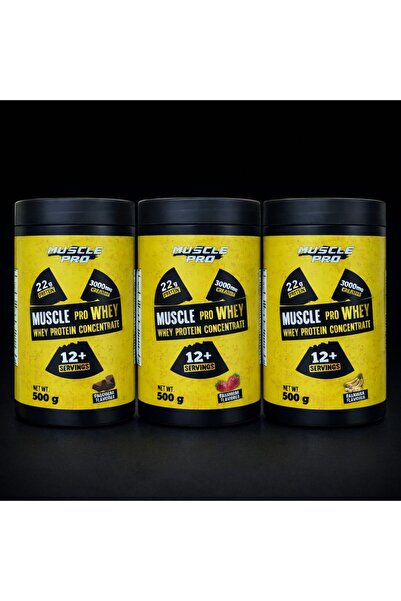 MUSCLE PRO Whey Protein 500 g | 22 g Protein | 3000 mg Kreatin | Çikolata / Ç...