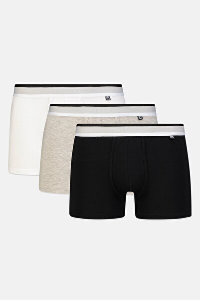 RBX Men 3 Pack Brand Logo Boxer Briefs, Multicolor