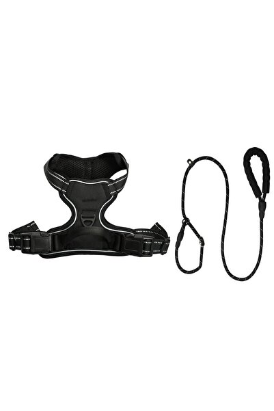 STEEIRO Ζώνη Σκύλου/Γάτας με Λουρί, Ρυθμιζόμενη, Ανακλαστικές Λωρίδες