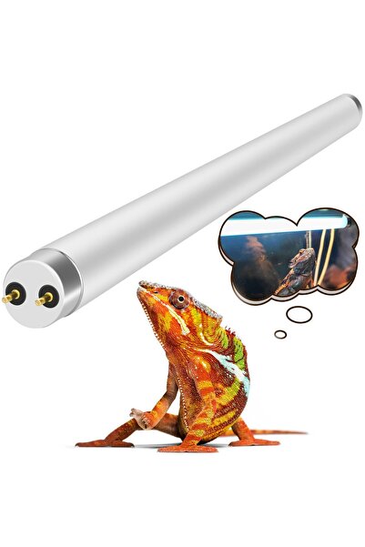 NQEUEPN Lampa Reflector pentru Reptile, NEPTONION, Polizata Aluminiu 8.5 Inch...