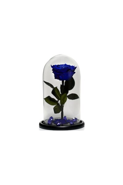 OEM XXL Cryogenated Rose in Glass Dome