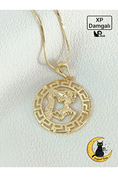 XUPING JEWELRY POKAK Burçlar Serisi 14K Altın Kaplama Kova Burcu Burç Kolye U...