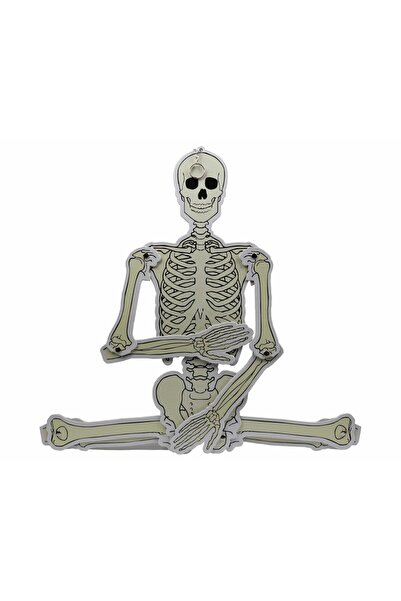 Anoffel İskelet Modeli 90 cm 5 Adet Karton Büyük İskelet Maketi İskelet Siste...