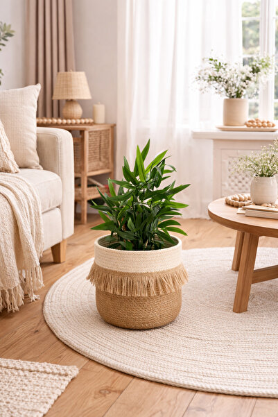 Bohemahomedecor Hasır jüt sepet saksı
