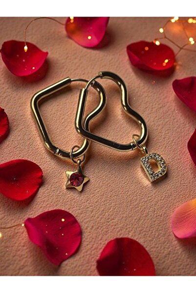 Amabel Jewelerys Valentine's Day Gift Steel Heart Earrings with Zircon Star a...