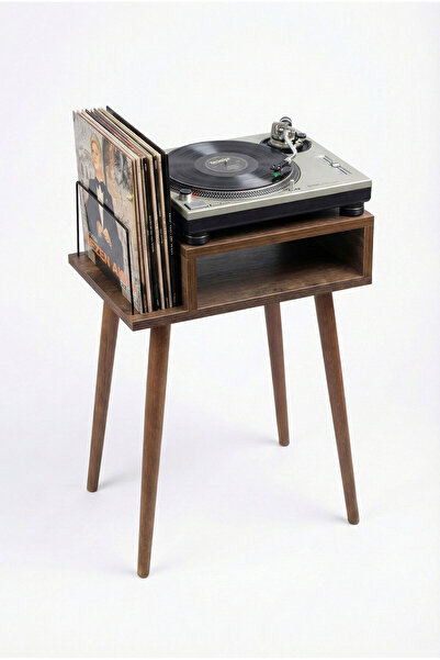 DEQQU Solo 45x35x63cm Pikap Sehpası Tek Organizerlı Plak Düzenleyici Yan Sehpa