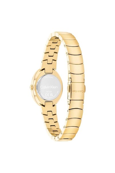 Calvin Klein Ck25100147 Kadın Kol Saati