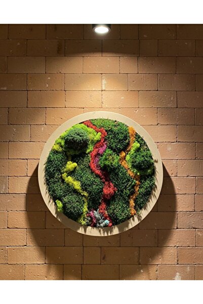 TG Yuvarlak Yosun tablosu