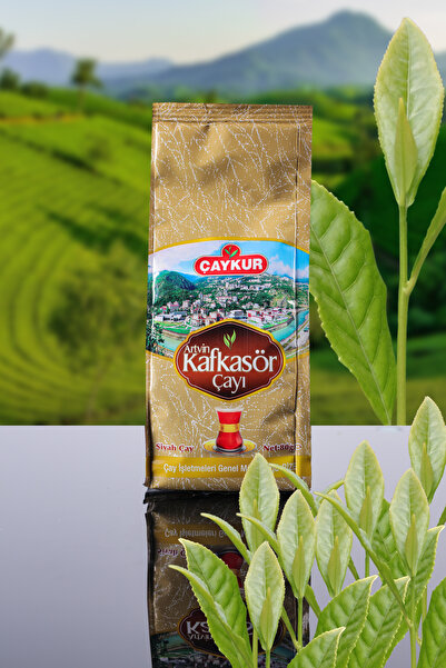 Çaykur Artvin Kafkasör Tea 80 Gr 20 Pieces (1 Box)