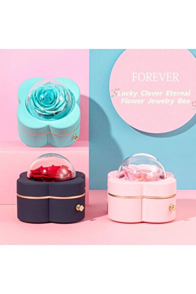 By Rozane Gift Set with Cryogenic Eternal Rose and Jewelry Drawer