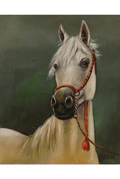 Generic لوحة زيتية للخيول العربية