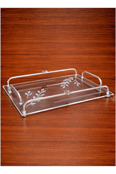 ALQANNAS Modern Rectangular Acrylic Serving Tray with Silver Stainless Steel ...