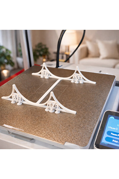Mayah Concept 3D Printing Bottle Organizer