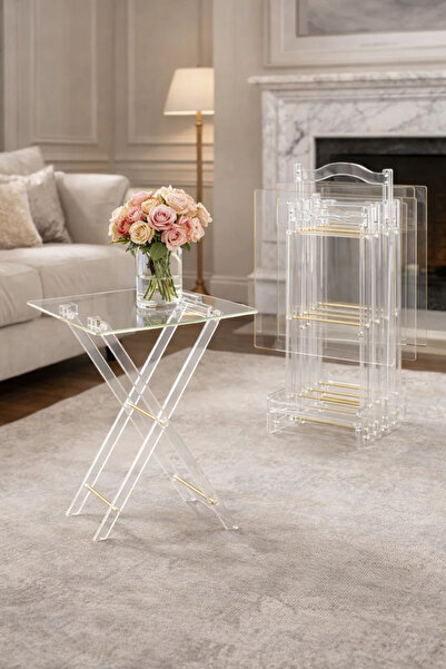 MARIA HOMES Premium Acrylic Folding TV Tray Tables Set of 4 with Stand Gold A...