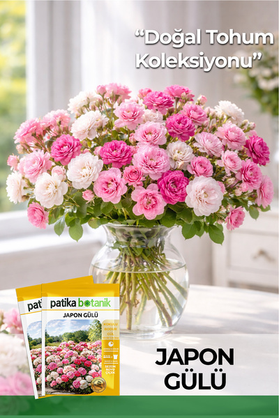 Patika Botanik 5 Adet Japon Gülü Çiçeği Tohumu