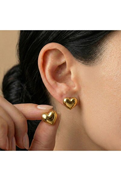 AccessoriesCınCık Steel Earrings Gold Color Heart Stone Detailed Women's Earr...