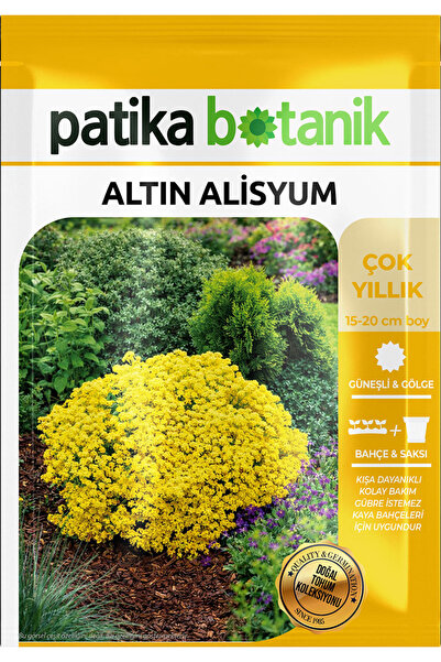Patika Botanik 50 Adet Altın Alisyum Çiçek Tohumu - Çok Yıllık