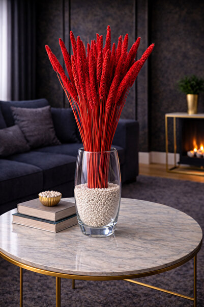 ÇINARASYADAHOME Kırmızı Setaria (Setteria) Demeti 50-60 cm – Dekoratif Kuru Ç...