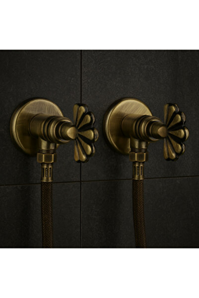 banyosepeti Tavrozline Antique Vintage Double Bidet Faucet Set with Hose – Brass