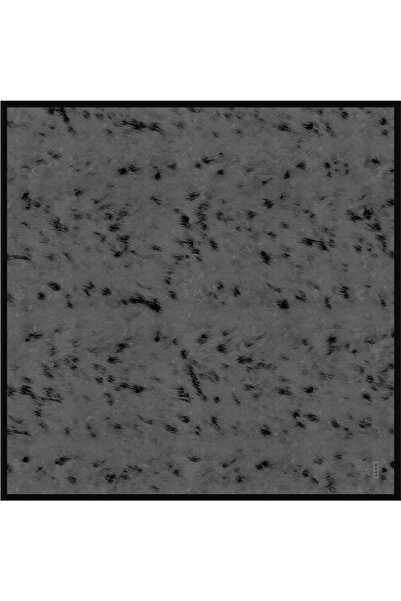 Aker 2025-2026 New Season Leopard Print Silk Crepe Satin Scarf