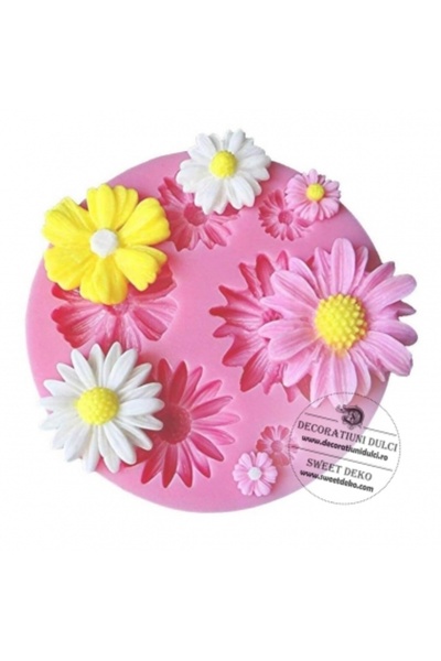Decoratiuni Dulci Мулай 6 флорицеле