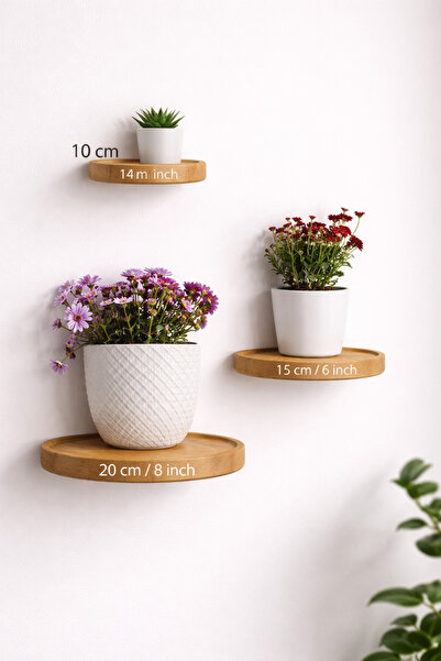 ATAY wood 🌿 Ahşap Duvar Saksı Rafı – Tekli | 10 cm / 15 cm / 20 cm