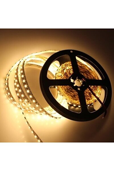 cataa Cata Gün Işığı Şerit LED 10 Metre | 12V | Adaptör Hariç |