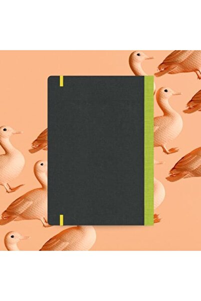 Yıldızan Esnshop Book 20 Flexible Notebook, 17X24 Light Green Stripe, Lined 1...