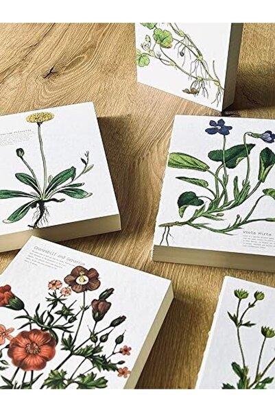 Yıldızan دفتر ملاحظات مسطر مقاس A5 بغلاف مطبوع بتصميم خاص من esnshop - قابل ل...