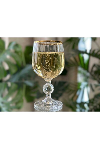 ÇNR Home Collection Bohemia Crystal Optical Glass Set of 6 - Stylish Glass wi...