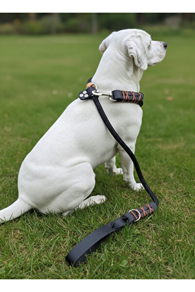 balkonda Dog Walking Strap & Collar Single Product 12 cm Diameter Skotocan Rope