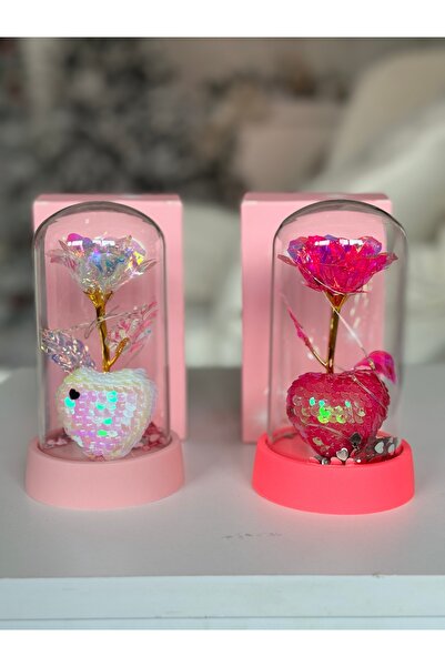 file de poveste Rose in the dome