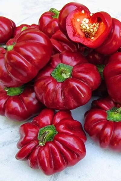 SümerTohum 10 Adet Yerli Doğal Domates Biberi Tohumu