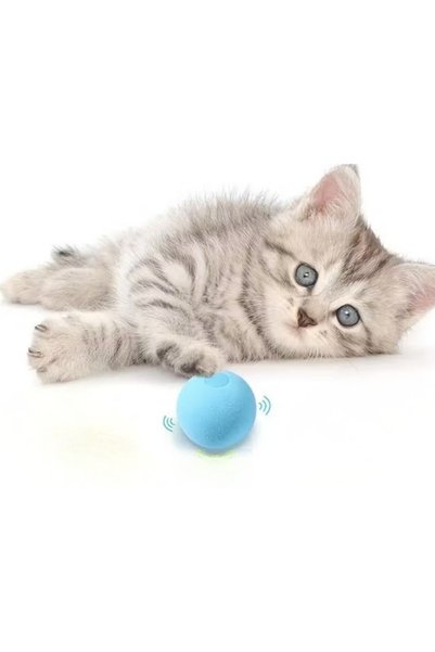 ForWhat 3Mod Soundful Grass Moving Play Ball for Office Home Office Pet Cat A...