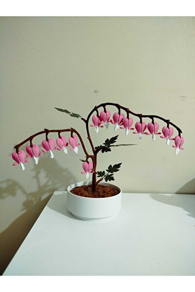 Şahi Workshop زهرة القلوب الحلوة