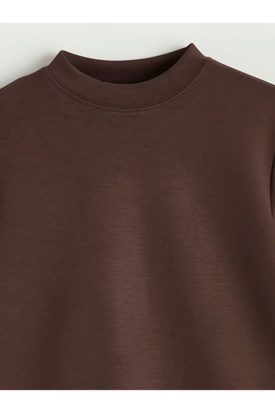 LC Waikiki Brown Crew Neck Women's T-Shirt