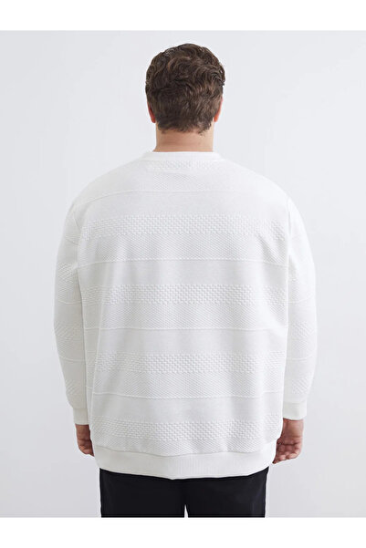 LC Waikiki Ecru Plus Size Crew Neck Men's Sweatshirt