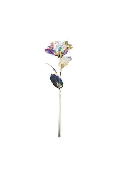 Karll 24K Tumao Rose, Multicolor, 25 x 8.5 cm