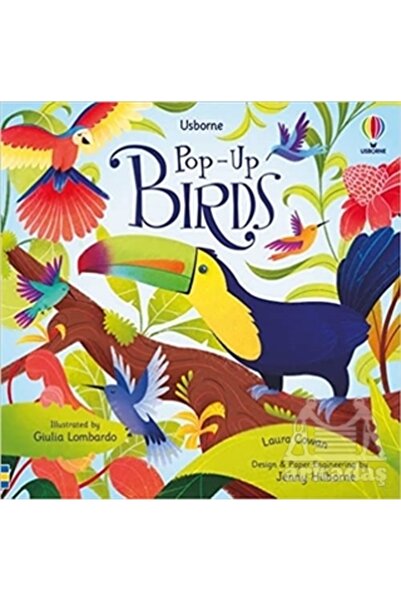 Usborne Pop-up birds