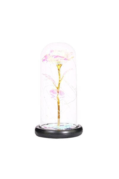 OEM Plastic Rose in Glass Dome, LED Light, Multicolor