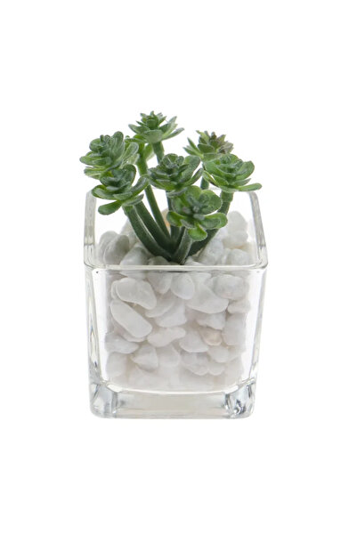 OEM Artificial plant FM805, glass pot, plastic, 10 x 6 x 6 cm