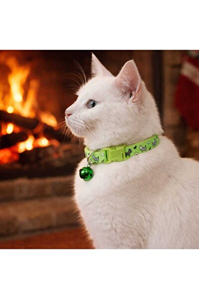 dzmerc طوق للقطط والكلاب