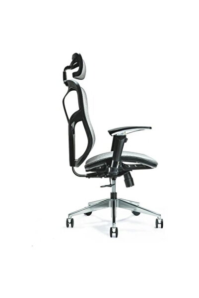BEMONDI Scaun de birou ergonomic ERGO 500 gri