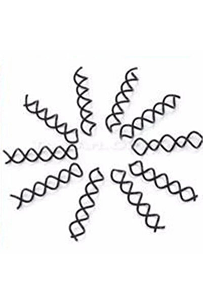 Choice black 10pcs/Set Simple Hair Clips Fixed Curlers Women's Twisted Headwe...