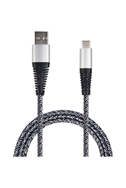 2go 795953 USB Type-C 3.1, 1m, Argintiu