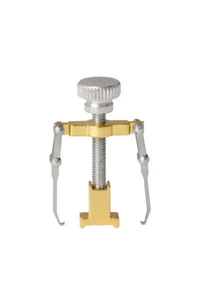 Choice Golden Ingrown Toenail Corrector Straightening Clip Pedicure Foot Nail...